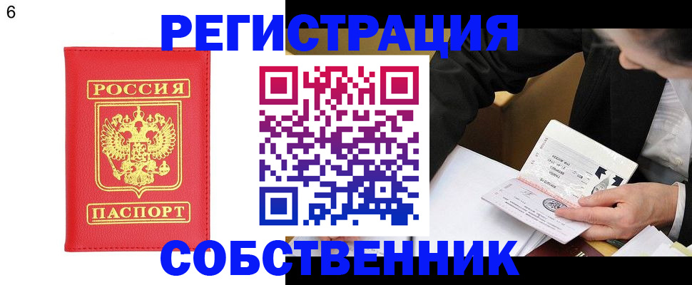 временная регистрация поиск в Светогорске